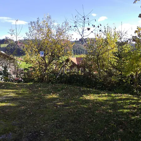 Apartment Am Birkenweg