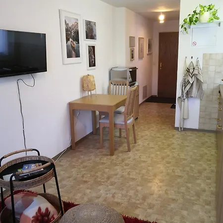 Am Birkenweg Apartment *