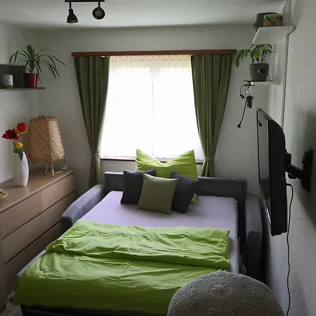 Am Birkenweg Apartment *